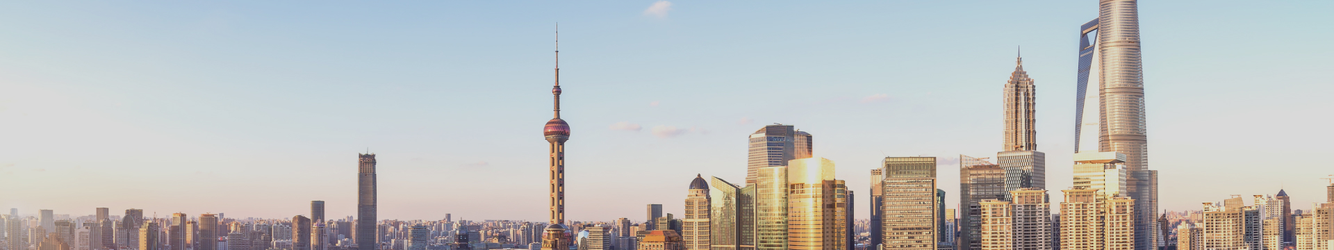 公司動(dòng)態(tài)